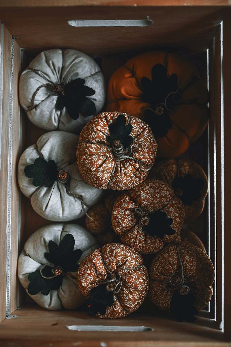 charlotte orange and gray squash decor lot 